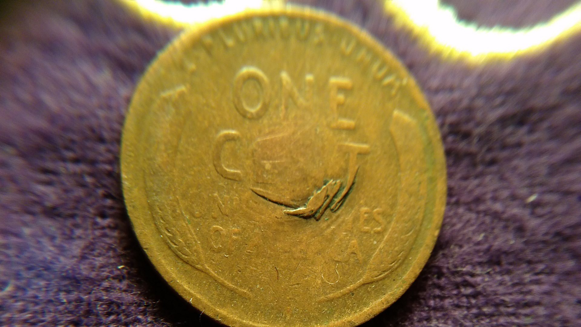 Found-Another-Misfit-In-My-Wheatys.-Mint-Error?